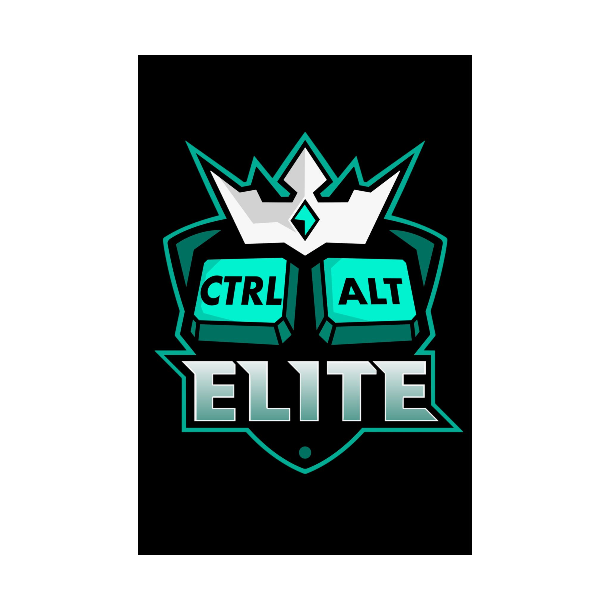 Ctrl Alt Elite Poster | Satin 210gsm, Gamer Keyboard Art - Image 5