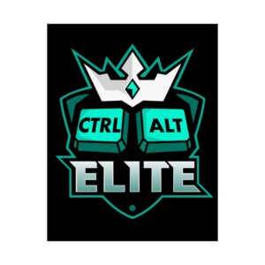Ctrl Alt Elite Poster | Satin 210gsm, Gamer Keyboard Art