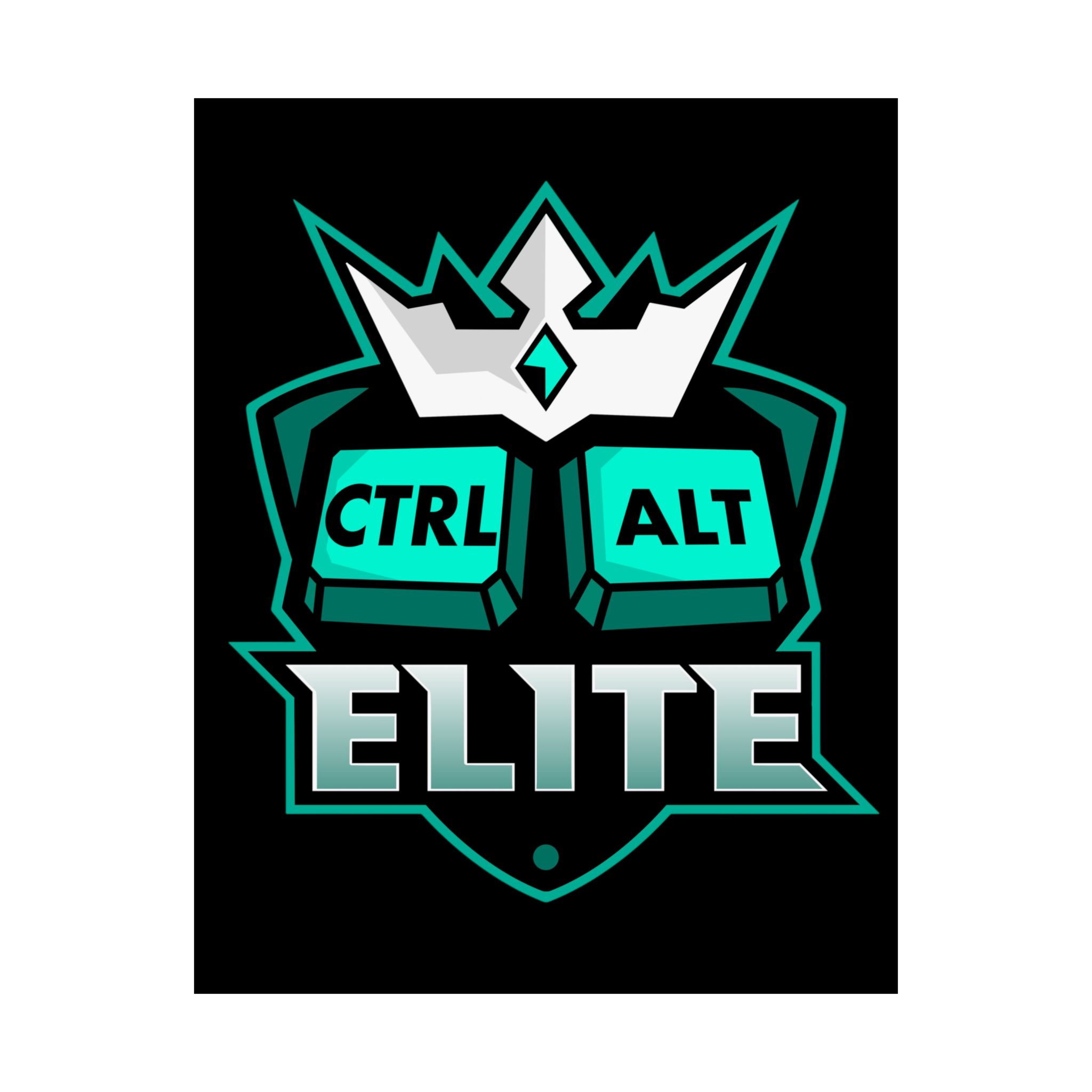 Ctrl Alt Elite Poster | Satin 210gsm, Gamer Keyboard Art
